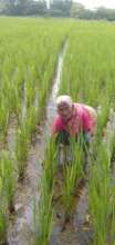 70 year old women dose'nt lose hope in agriculture