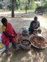 Prepartion for selling of the tamarind