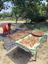 Processing the tamarind