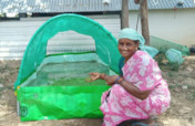 Income through agriculture for Tamil Nadu Families
