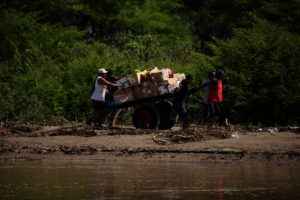 VIDA Peru