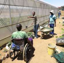 A team working at the Inclusive Greenhouse Tunnel