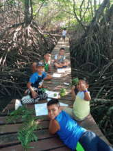 Mangrove field trip and drawing excercises