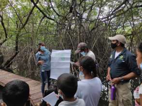 Junior rangers learning about life along the coast