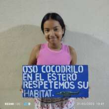 A sign to protect the mangrove crocodile