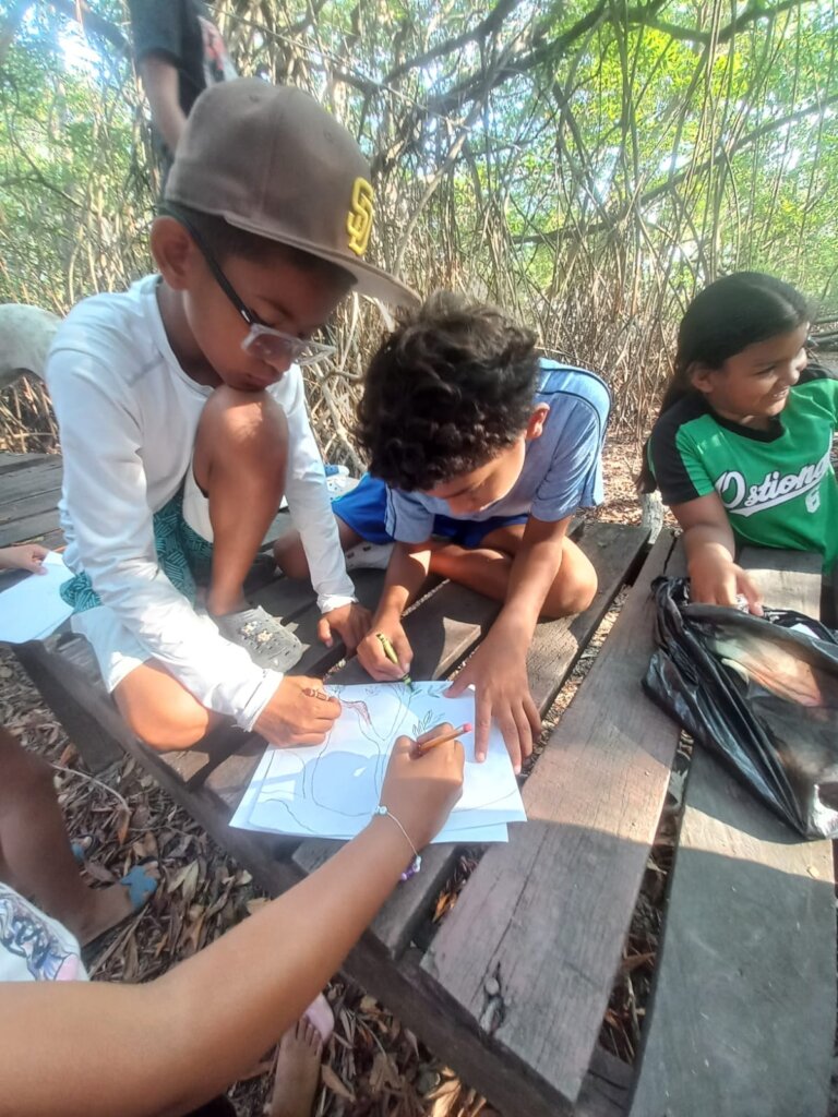 Mangrove field trip