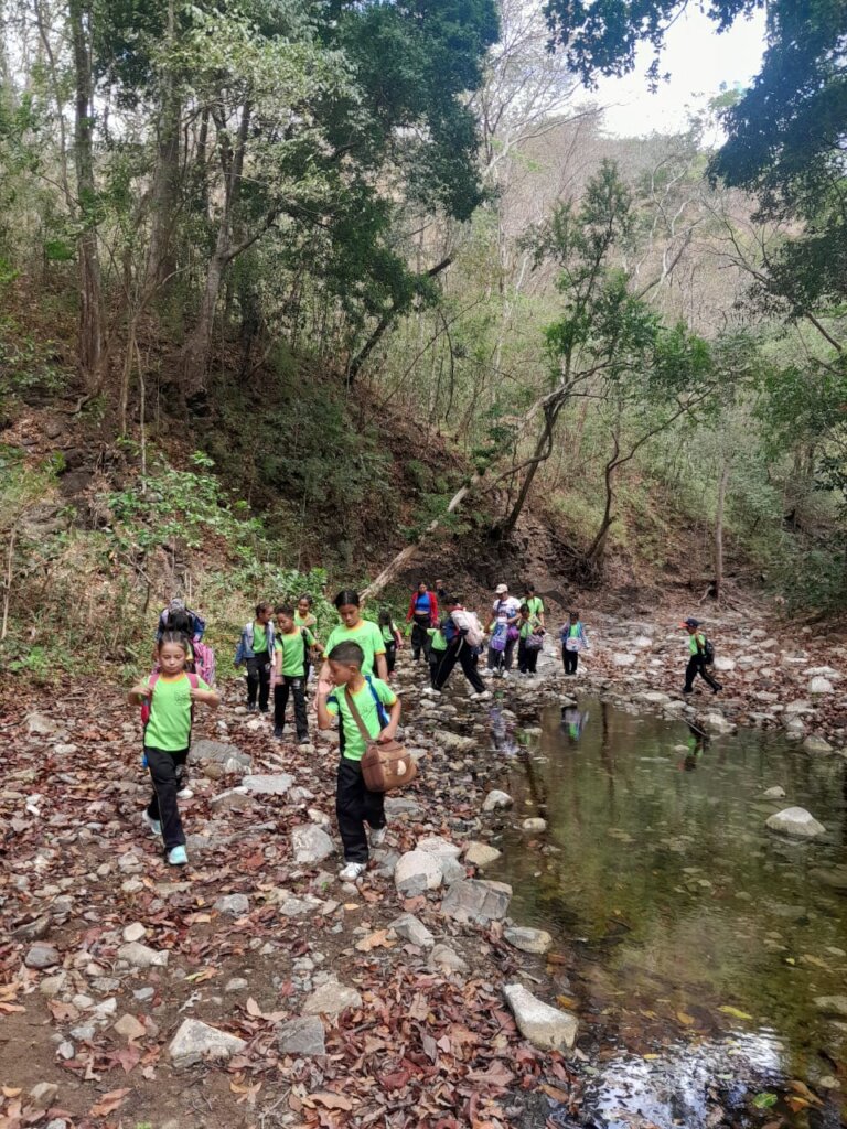 Forest field trip
