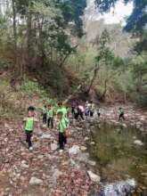Forest field trip