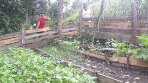 Family garden with short cycle vegetables