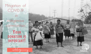 Mitigation of COVID-19 in indigenous communities