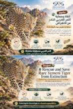 Conservation_Project_Poster