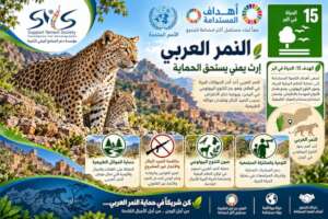 SDG15_Conservation_Poster