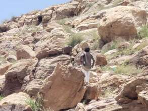 At Bani Qais Nature Preserve