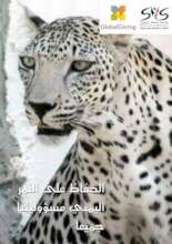 Awareness-raising Flyre