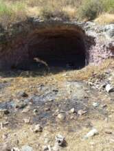 A CAVE OF RARE YEMENI TIGERS