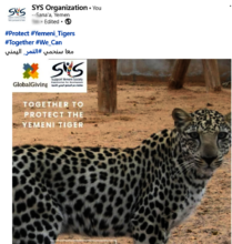 SYS SOCIAL MEDIA CAMPAIGN