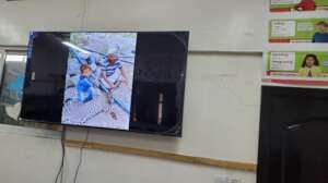 ILLEGAL POACHING OF YEMENI TIGERS