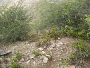 Bani Qais Mountain, Hajja Province, Yemen