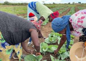 Rural women supported during post-Covid period