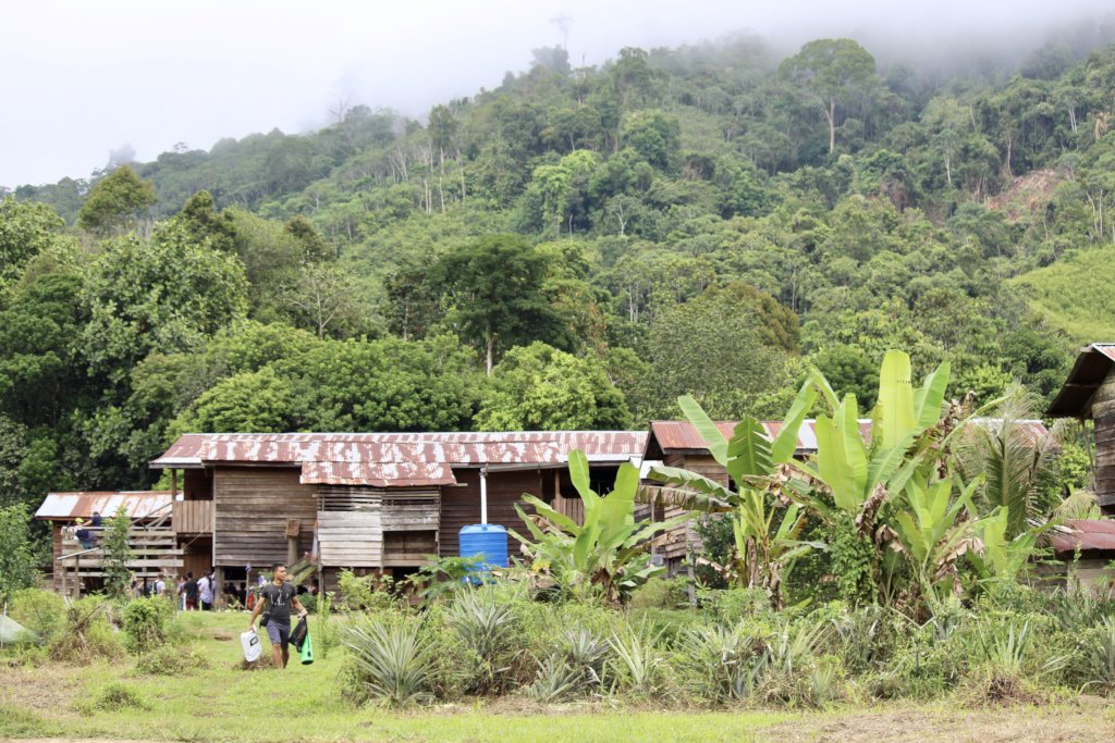 Support Indigenous forest protection in Borneo
