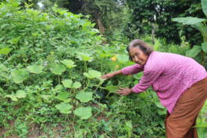 One of the women we are supporting with seeds