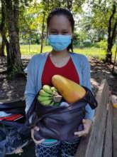 The fruits & vegetables package for pregnant women
