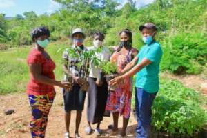 Families receiving seedlings for their gardens.