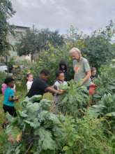 At the garden