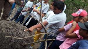 Students explore their natural environment