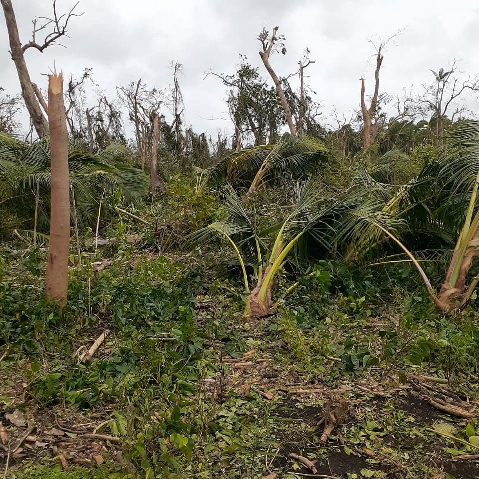 Vanuatu Communities Support -TC Harold