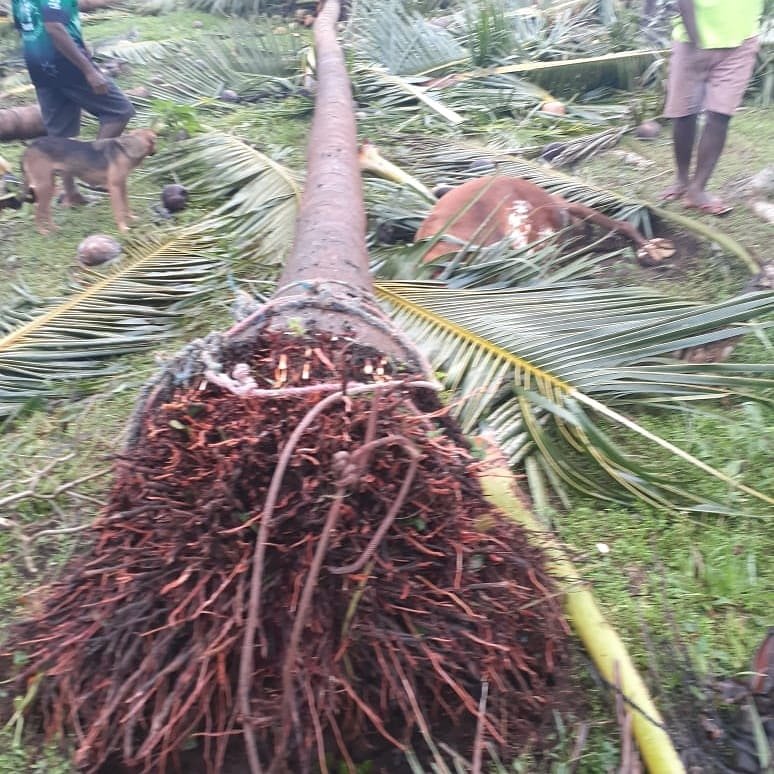 Vanuatu Communities Support -TC Harold