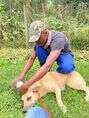 Staff treating a dog for ticks and fleas
