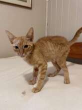 Adopted!!