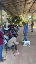 Our team educating children on animal care