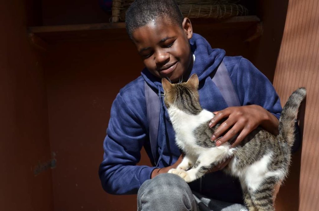 Rescue Companion Animals in Eswatini