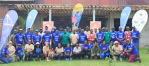 6 Vaccination campaign