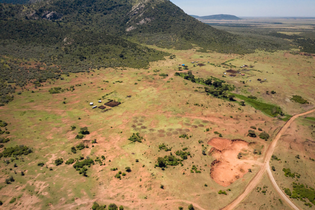 URGENT: Sustain a conservancy through the pandemic