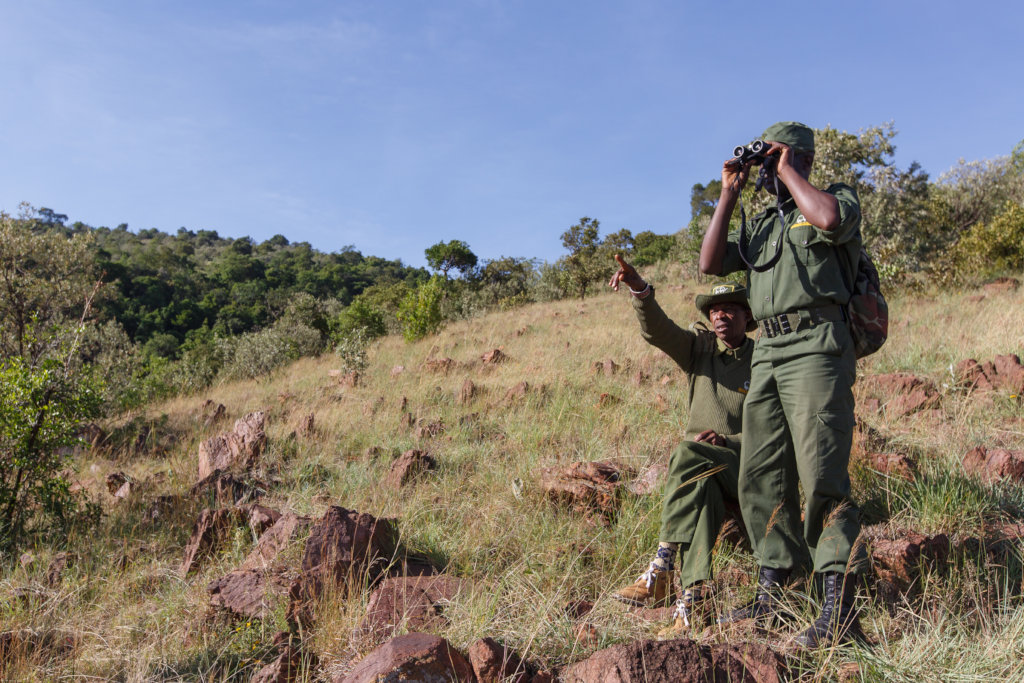 URGENT: Sustain a conservancy through the pandemic