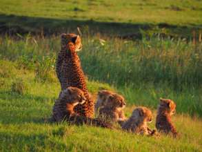 Kisaru's Family