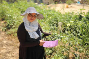 Amira with her garden.