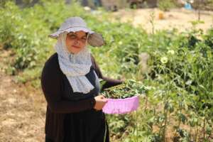 An old picture of Amira in her garden