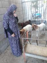 A'thar and her new goats