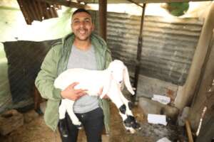 An old picture of Ahmed with his goat