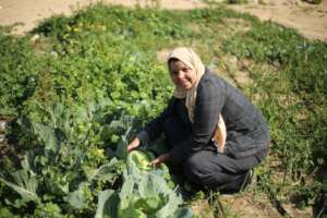 Amira in her farm