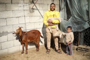 Ahmed with his goats!