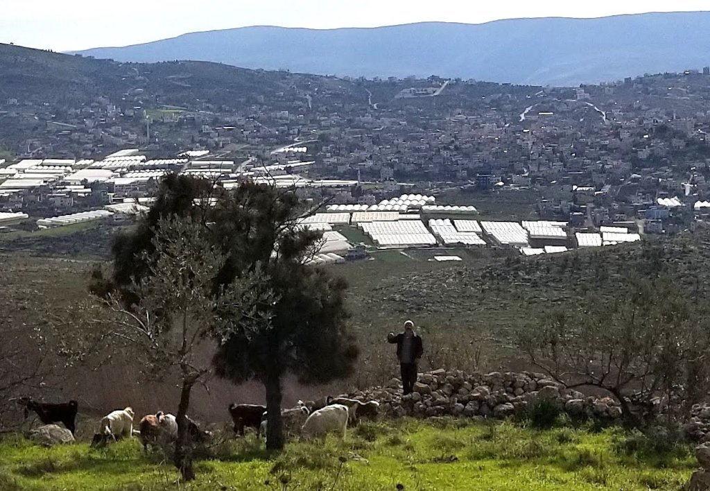 Gardens, Goats, and More: Climate Action Palestine