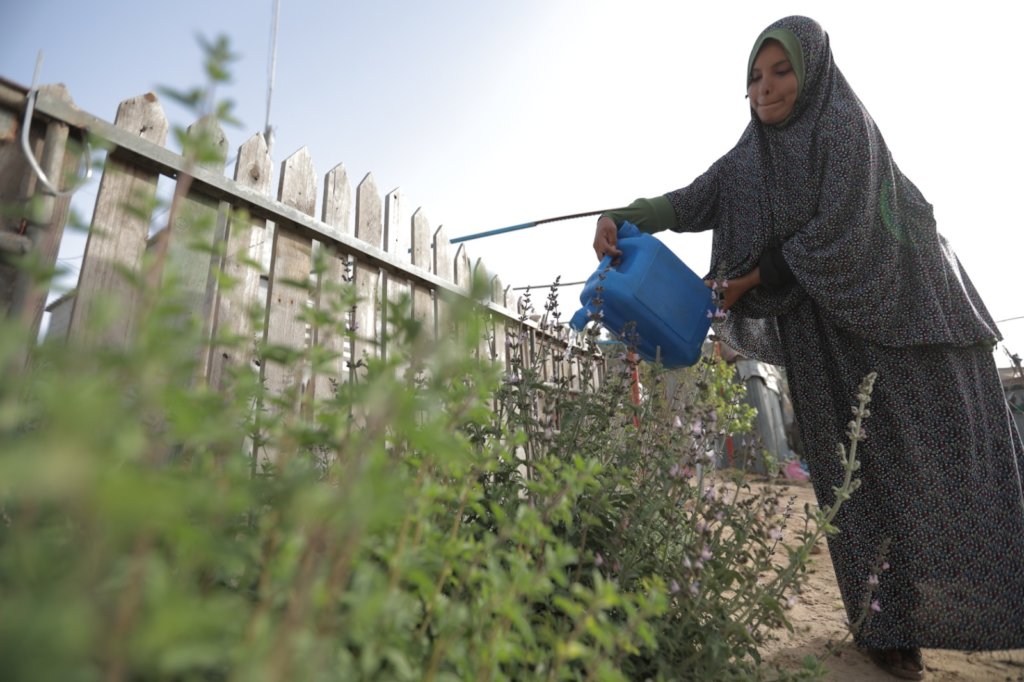 Gardens, Goats, and More: Climate Action Palestine