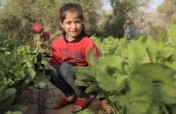 Gardens, Goats, and More: Climate Action Palestine