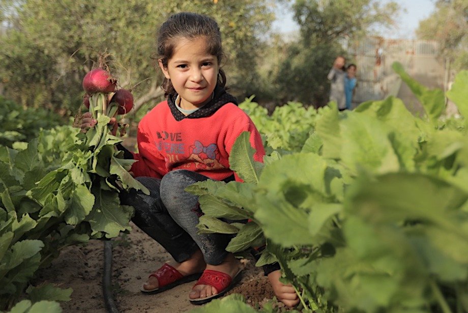 Gardens, Goats, and More: Climate Action Palestine