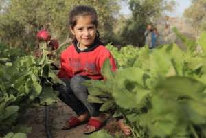 Gardens, Goats, and More: Climate Action Palestine